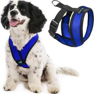 Gooby Comfort X Head in Harness - Blue, Large - No Pull Small Dog Harness